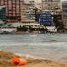 Thumbnail 16