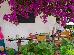 Thumbnail 103