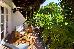 Thumbnail 47