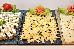 Thumbnail 213