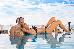 Thumbnail 32