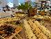 Thumbnail 22