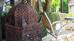Thumbnail 22