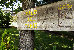 Thumbnail 33