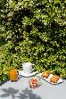 Thumbnail 27