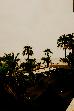 Thumbnail 80