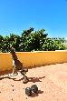 Thumbnail 141