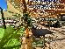 Thumbnail 156