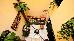 Thumbnail 15