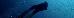 Thumbnail 42