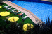 Thumbnail 28