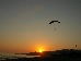 Thumbnail 26