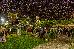 Thumbnail 28