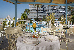 Thumbnail 22