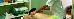Thumbnail 106