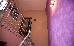 Thumbnail 24