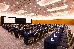 Thumbnail 207