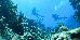 Thumbnail 89