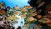Thumbnail 91