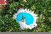 Thumbnail 62