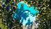 Thumbnail 35