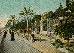 Thumbnail 31