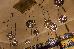 Thumbnail 34