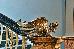 Thumbnail 20