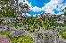 Thumbnail 75