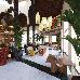 Thumbnail 15