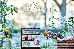 Thumbnail 95
