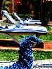 Thumbnail 28