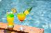 Thumbnail 44