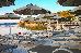 Thumbnail 174
