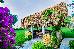 Thumbnail 176