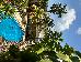 Thumbnail 22