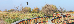 Thumbnail 85