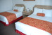 Thumbnail 28