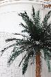 Thumbnail 32