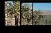 Thumbnail 24