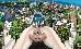 Thumbnail 28