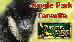 Thumbnail 30