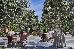 Thumbnail 127