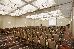 Thumbnail 58