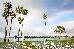 Thumbnail 167