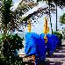 Thumbnail 55