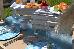 Thumbnail 67