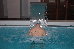 Thumbnail 28