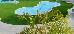 Thumbnail 59