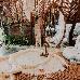 Thumbnail 35